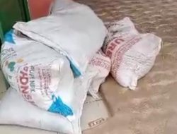 Diduga Penyelewengan Pupuk Urea dan NPK  Bersubsidi di Kecamatan Cipanas Tempatnya di Pasar Gajrug