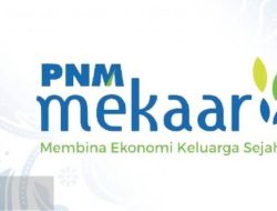 Oknum Collector Bank PNM Mekar Cabang Muncang, Diduga Tagih Paksa Nasabah yang Sedang Sakit, Tagih di Luar Jam Kerja